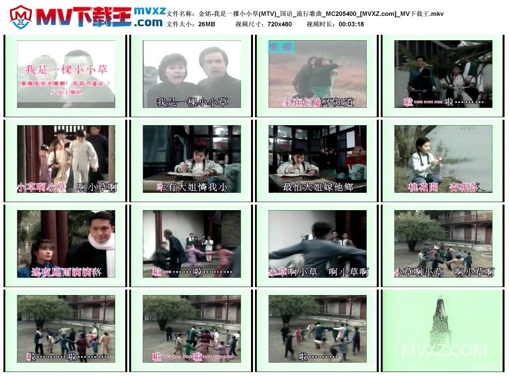 金铭-我是一棵小小草(MTV)_国语_流行歌曲_MC205400